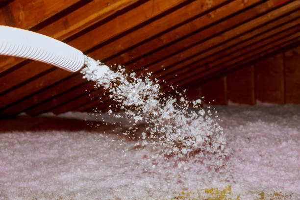 Best Energy Efficiency Solutions in Forest City, PA