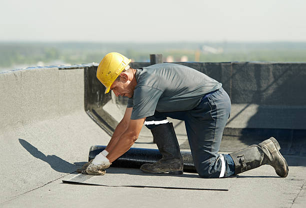 Best Specialty Insulation in Forest City, PA